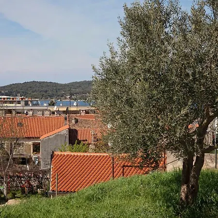 Arena Apartman *