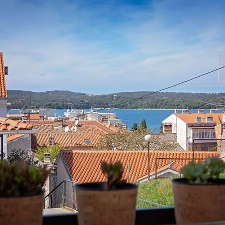 Arena Apartman Pula